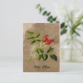 Vintage Stijlrosehips Briefkaart (Staand voorkant)
