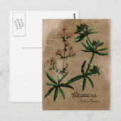 Vintage Stijlvol Briefkaart (Voorkant / Achterkant)