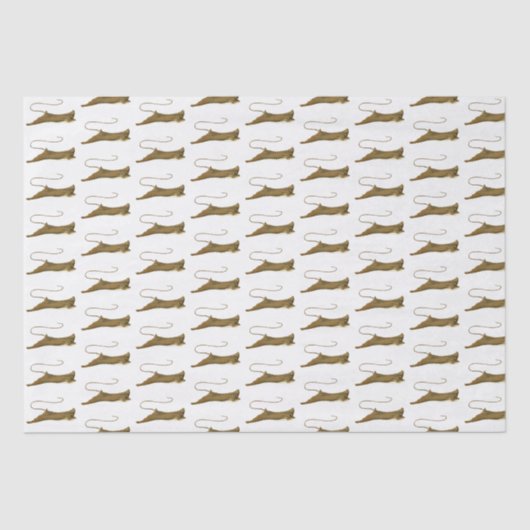 Vintage Stingray Tekenweefselpapier Tissuepapier (Voorkant)