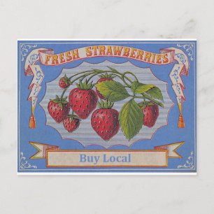 vintage strawberries briefkaart