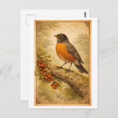 Vintage-Style American Robin Illustration Briefkaart (Voorkant / Achterkant)