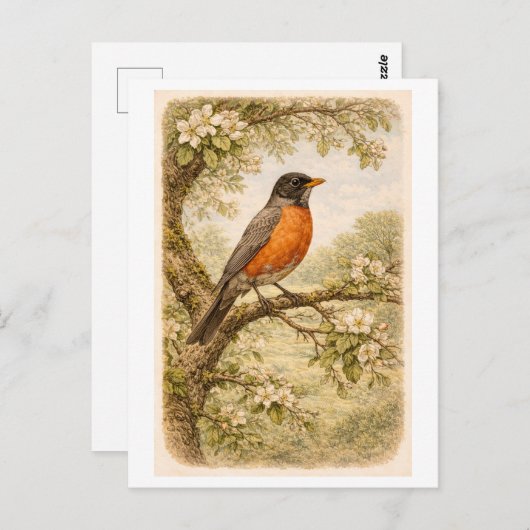 Vintage-Style American Robin lllustration Briefkaart (Voorkant / Achterkant)