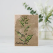 Vintage Style Belladonna Plant Briefkaart (Staand voorkant)