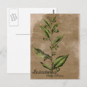 Vintage Style Belladonna Plant Briefkaart (Voorkant / Achterkant)