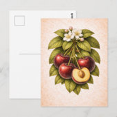 Vintage-Style Cherry Botanical Illustration Briefkaart (Voorkant / Achterkant)