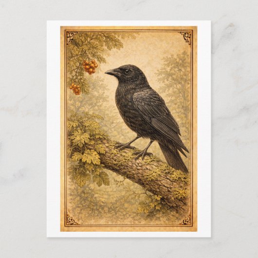 Vintage-Style Crow Illustration Briefkaart (Voorkant)