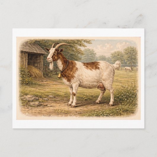 Vintage-Style Goat lllustration Briefkaart (Voorkant)