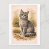 Vintage-Style Gray Cat Illustration Briefkaart (Voorkant)