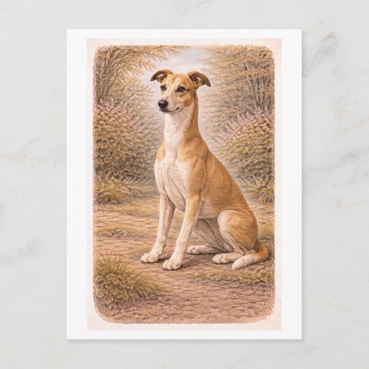 Vintage-Style Greyhound Briefkaart (Voorkant)