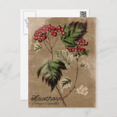 Vintage Style Hawthorn Tree Berry Postcard Briefkaart (Voorkant / Achterkant)