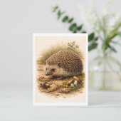 Vintage-Style Hedgehog Illustration Briefkaart (Staand voorkant)