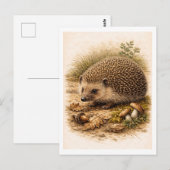 Vintage-Style Hedgehog Illustration Briefkaart (Voorkant / Achterkant)