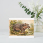 Vintage-Style Hippo Illustration Briefkaart (Staand voorkant)