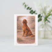 Vintage-Style Irish Setter Briefkaart (Staand voorkant)