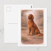 Vintage-Style Irish Setter Briefkaart (Voorkant / Achterkant)