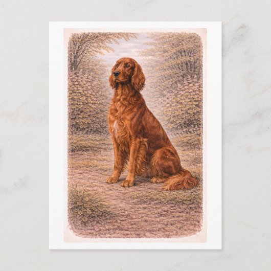 Vintage-Style Irish Setter Briefkaart (Voorkant)