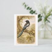 Vintage-Style Magpie lllustration Briefkaart (Staand voorkant)