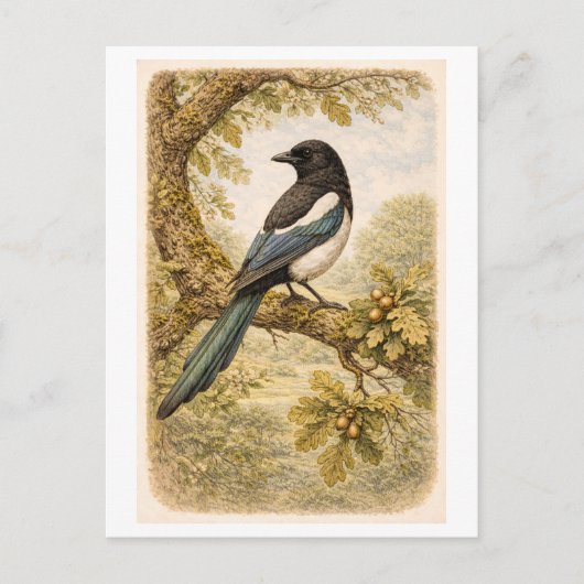 Vintage-Style Magpie lllustration Briefkaart (Voorkant)
