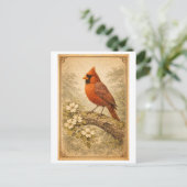 Vintage-Style Male Cardinal Illustration Briefkaart (Staand voorkant)