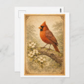 Vintage-Style Male Cardinal Illustration Briefkaart (Voorkant / Achterkant)