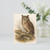 Vintage-Style Owl Illustration Briefkaart (Staand voorkant)
