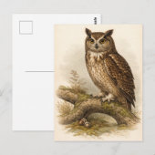 Vintage-Style Owl Illustration Briefkaart (Voorkant / Achterkant)