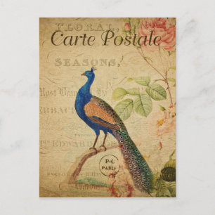 Vintage Style Peacock French Card Postale Briefkaart