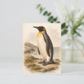 Vintage-Style Penguin Illustration Briefkaart (Staand voorkant)