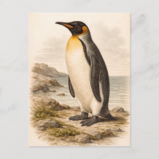 Vintage-Style Penguin Illustration Briefkaart (Voorkant)