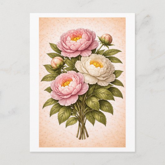 Vintage-Style Peony Botanical Illustration Briefkaart (Voorkant)