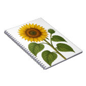 Vintage Sunflower transparent background Notitieboek (Rechterzijde)
