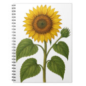 Vintage Sunflower transparent background Notitieboek (Voorkant)