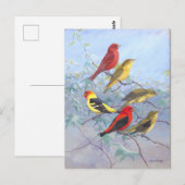 Vintage Tangare Briefkaart (Voorkant / Achterkant)