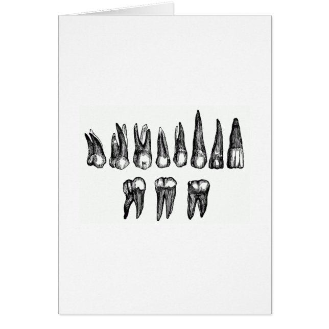 Vintage Teeth (Voorkant)