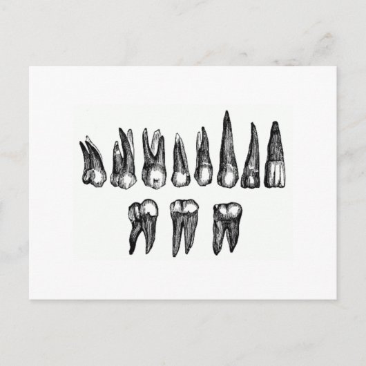 Vintage Teeth Briefkaart (Voorkant)