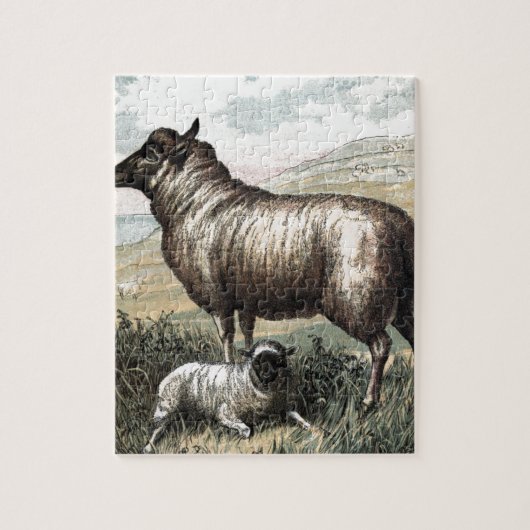 Vintage Tekening: De Perzische Schapen van de Legpuzzel (Verticaal)