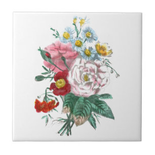 Vintage Tekening: De Rozen van Bengalen Tegeltje