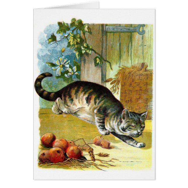 Vintage Tekening: De sluwe Kat (Voorkant)