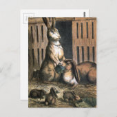 Vintage Tekening: De trotse Ouders van het Briefkaart (Voorkant / Achterkant)