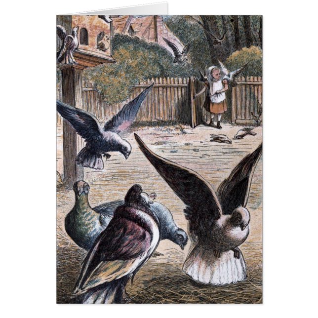 Vintage Tekening: Drager Pidgeons (Voorkant)