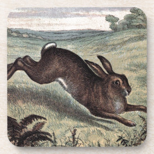 Vintage Tekening: Het lopen Hazen op een Gebied Bier Onderzetter