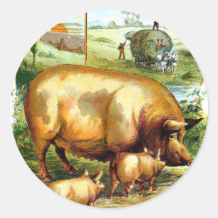 Vintage Tekening: Het Varken van de moeder met Ronde Sticker
