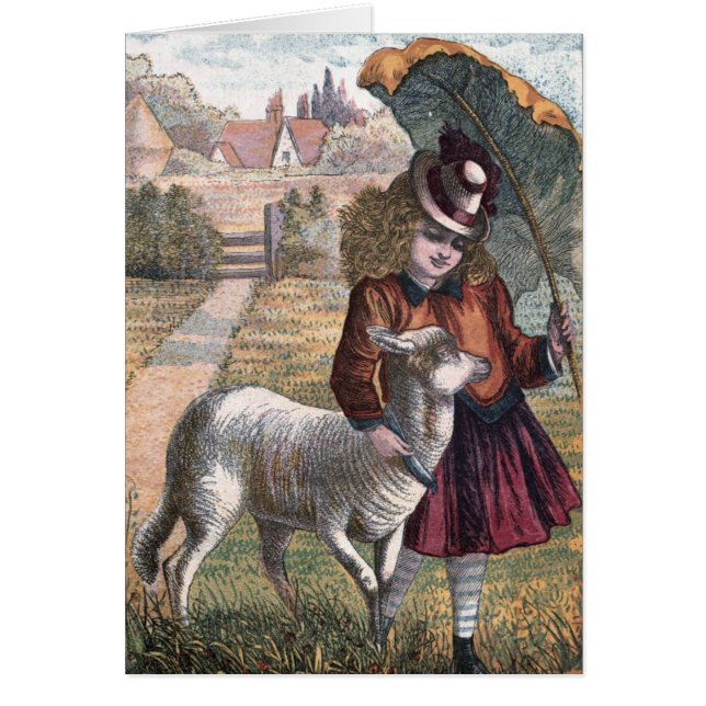 Vintage Tekening: Huwden Weinig Lam (Voorkant)