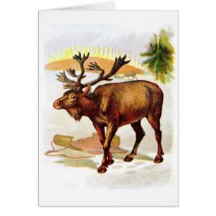 Vintage Tekening: Rendier in de Sneeuw