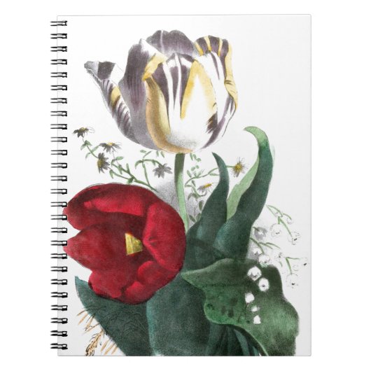 Vintage Tekening: Tulpen Notitieboek (Voorkant)