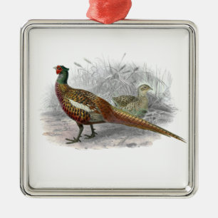 Vintage tekening van fazant wild gevogelte kleur # metalen ornament