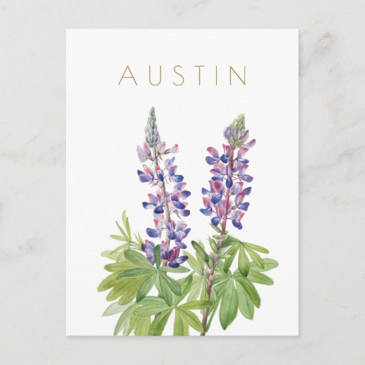 Vintage Texas flower reist midden eeuw Briefkaart (Voorkant)