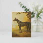 Vintage Thoroughbred Horse Briefkaart (Staand voorkant)