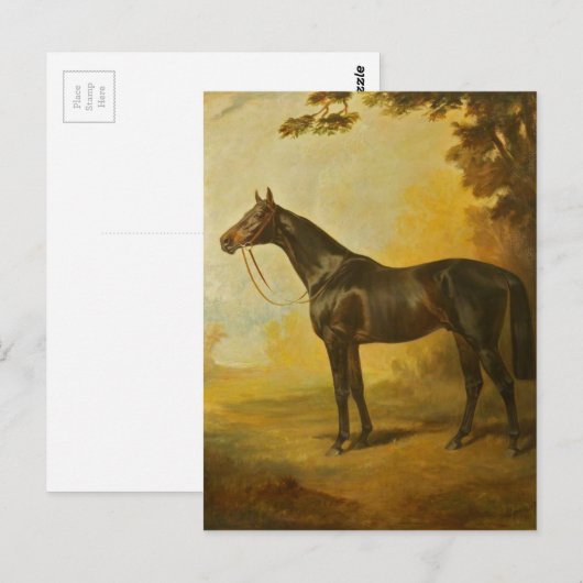 Vintage Thoroughbred Horse Briefkaart (Voorkant / Achterkant)