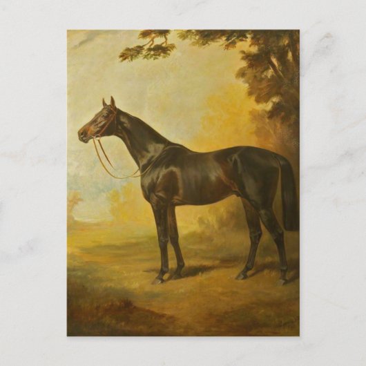 Vintage Thoroughbred Horse Briefkaart (Voorkant)